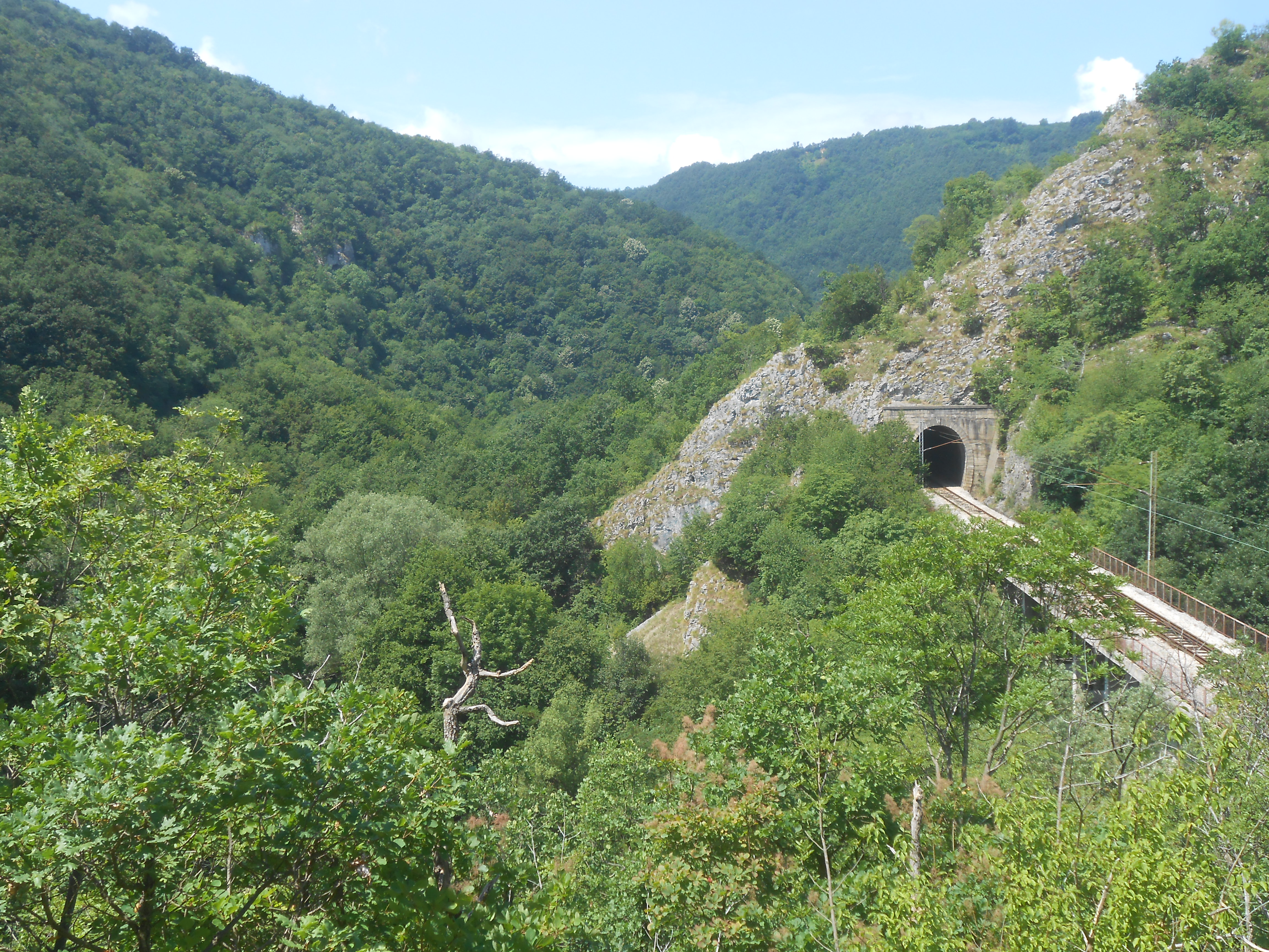 Slika galerije