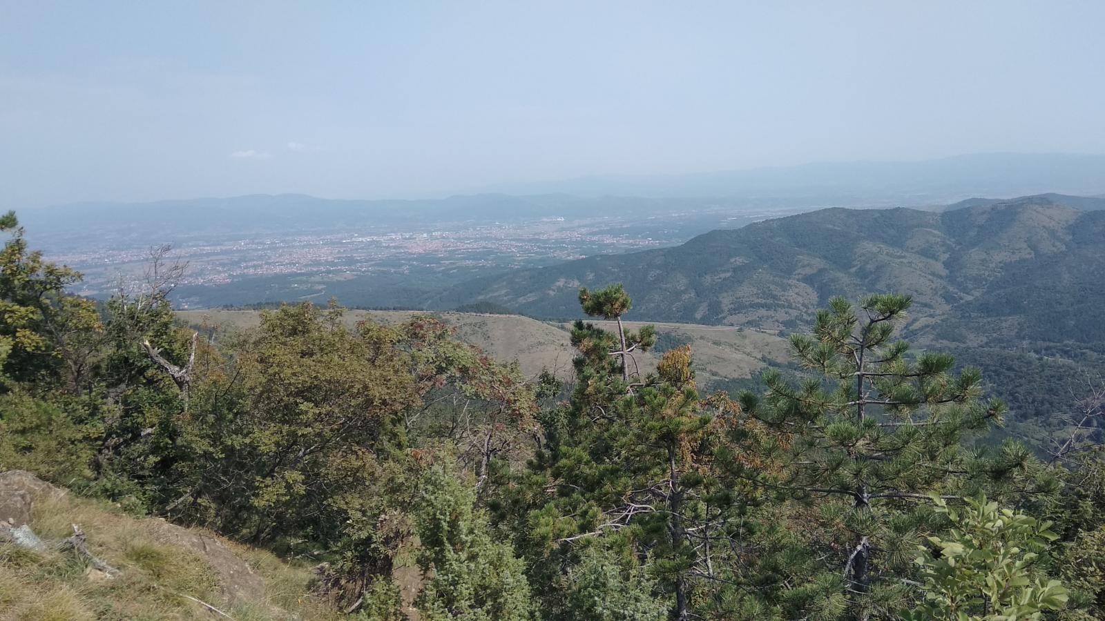 Slika galerije