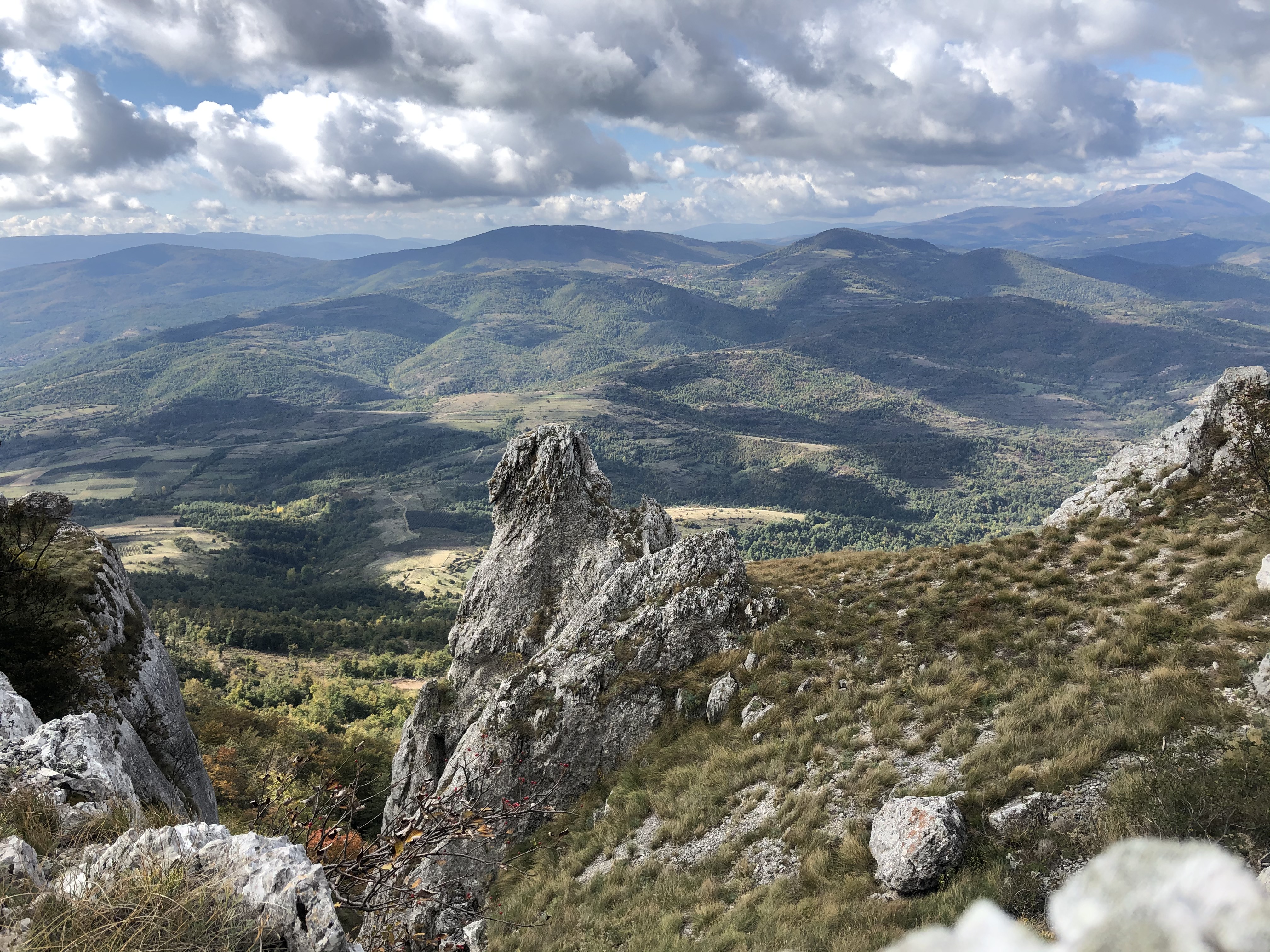 Slika galerije